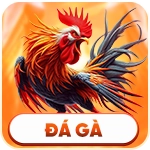 đá gà