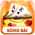 sòng bài